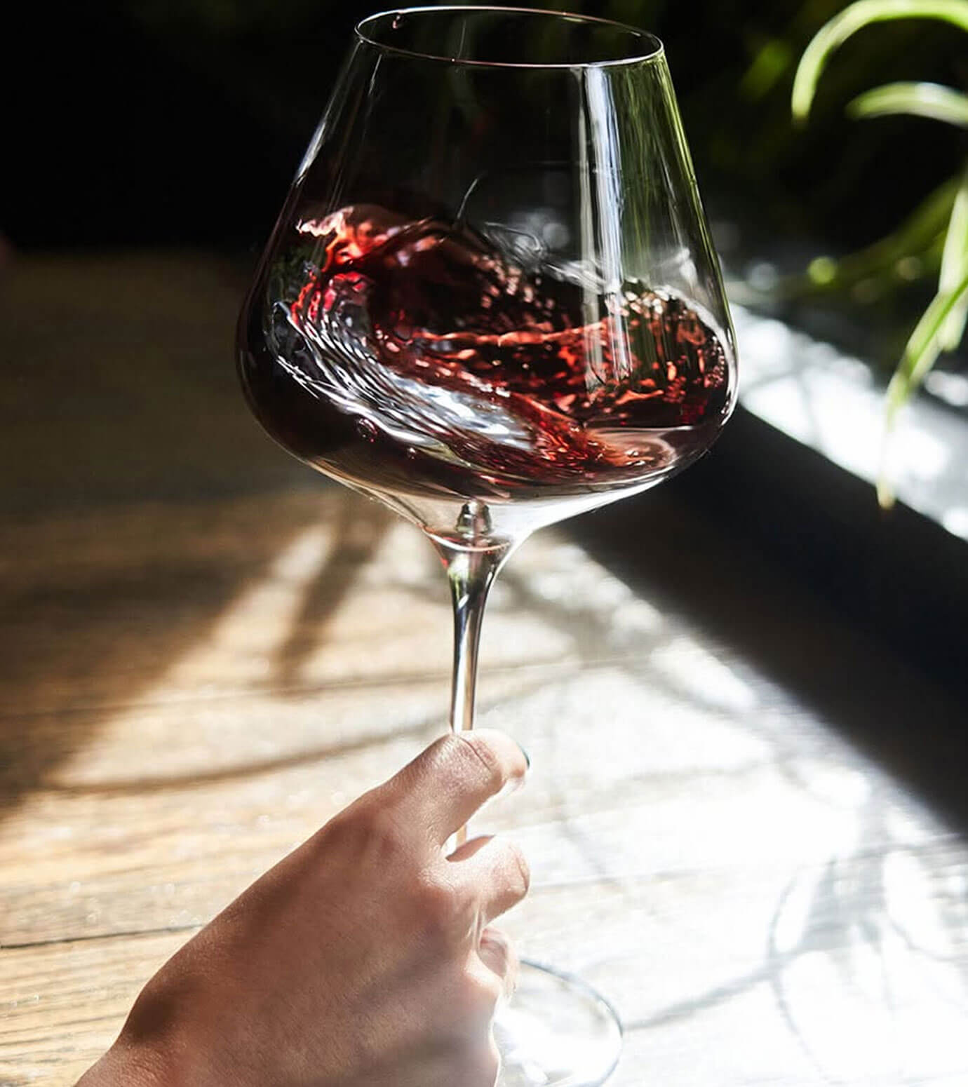 Calice di vino rosso - Masso Antico