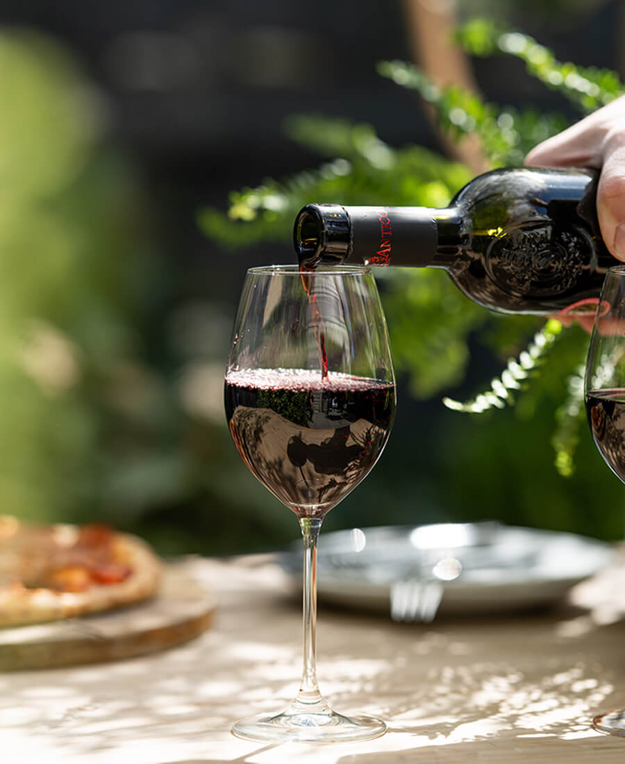 Calice di vino Primitivo - Masso Antico