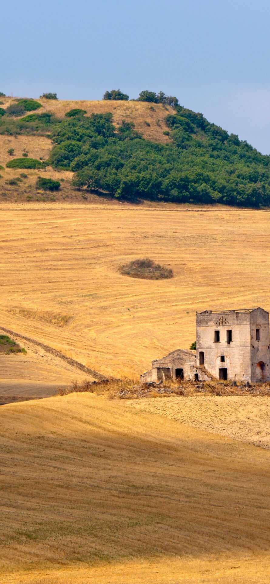 MassoAntico_Home_BannerVigneti_Mobile