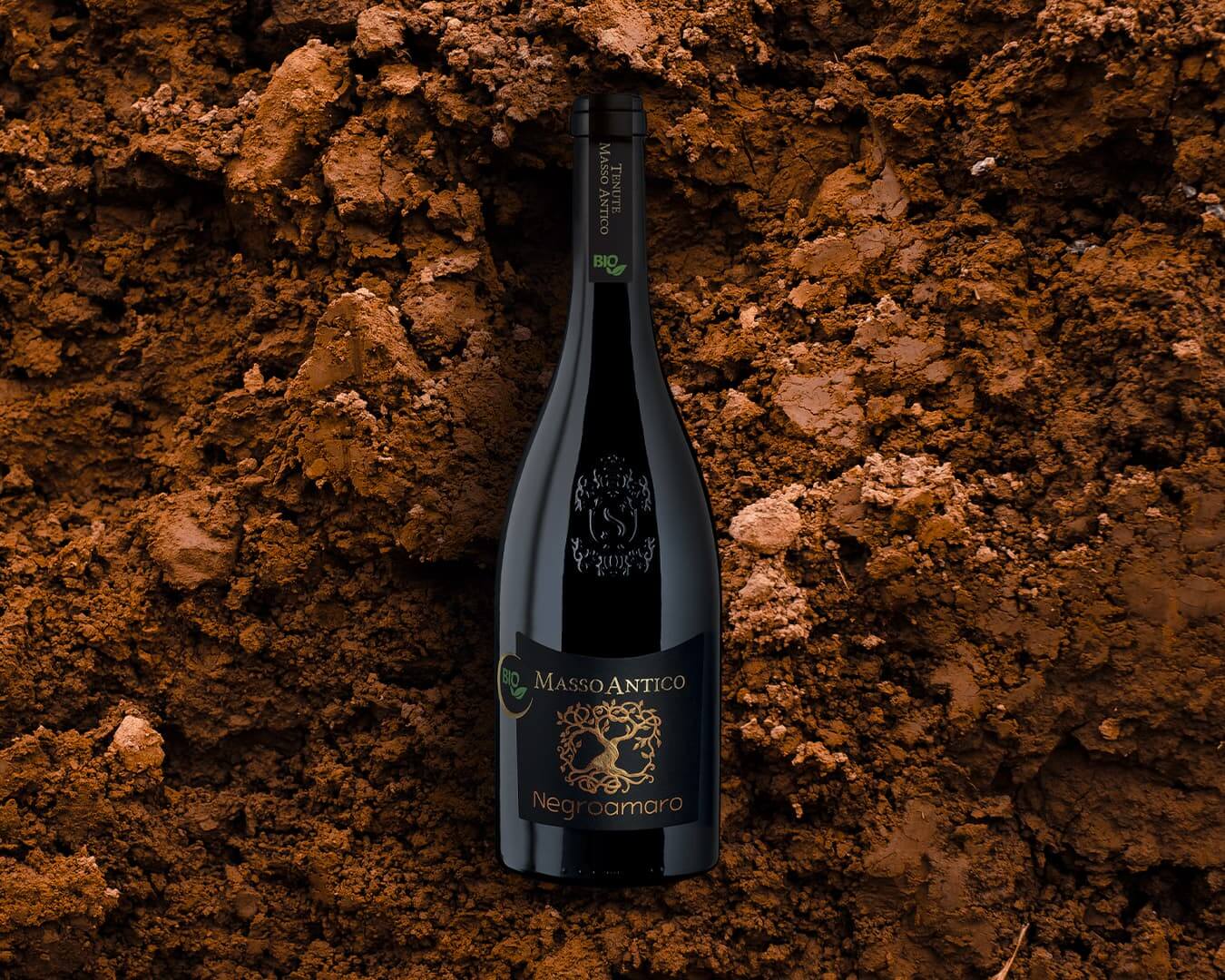 Negroamaro BIO - Masso Antico