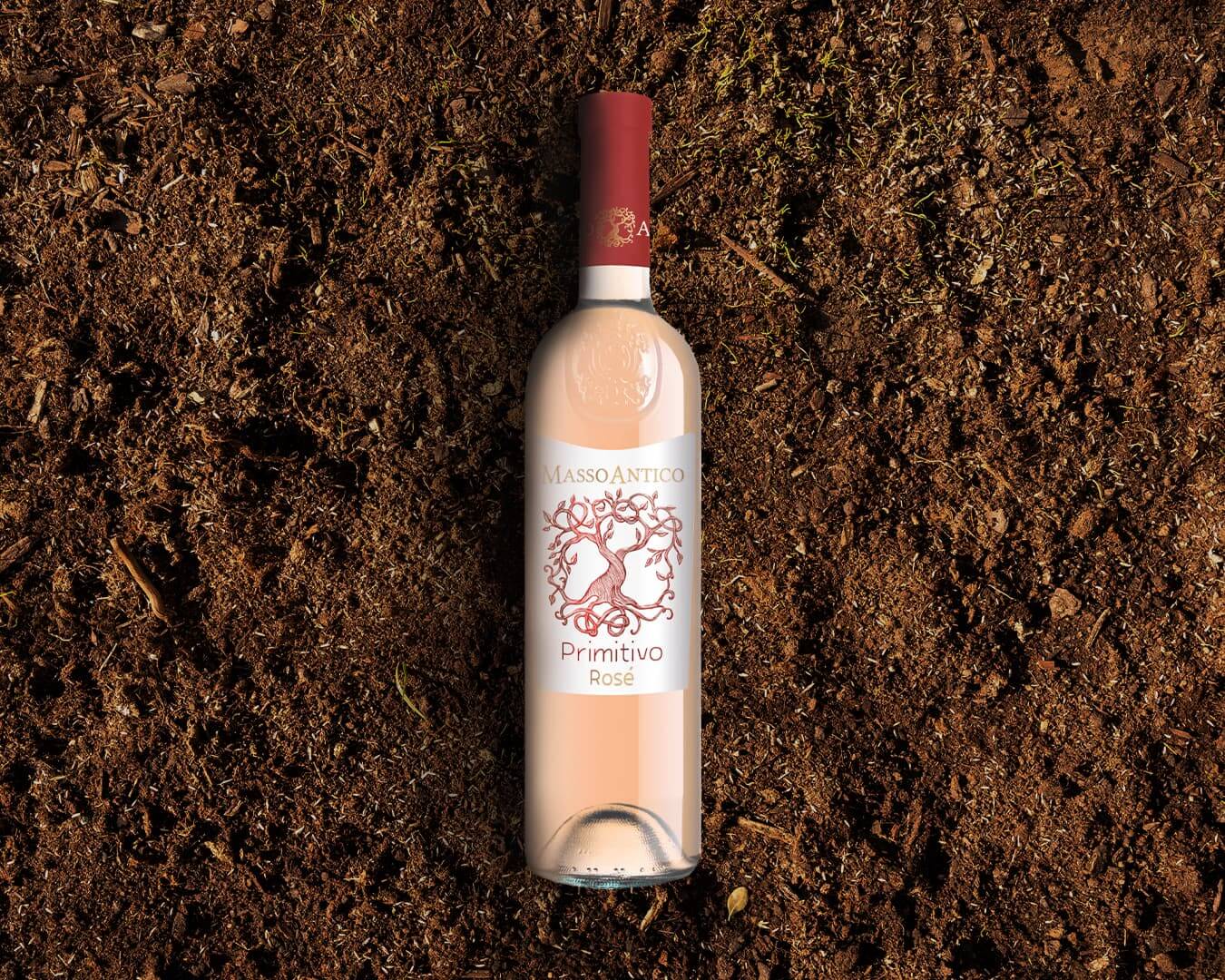 Primitivo Rosé - Masso Antico